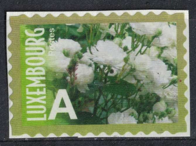 Luxembourg 2010 Used sur fragment Fleurs Rose Prince Jean de Luxembourg