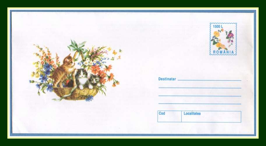 Roumanie Entier belle illustration Chatons ** 2000