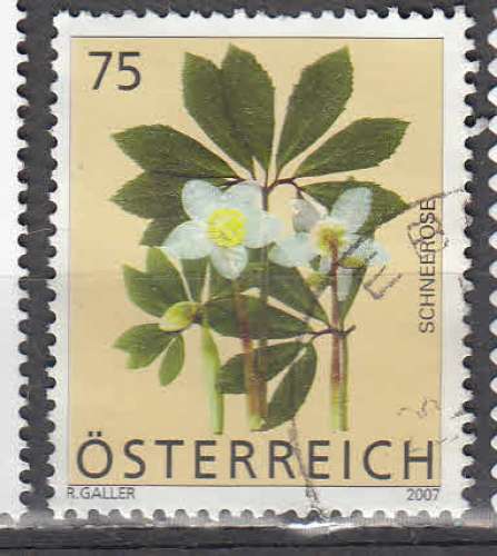 Autriche 2007  75  fleur  oblitéré