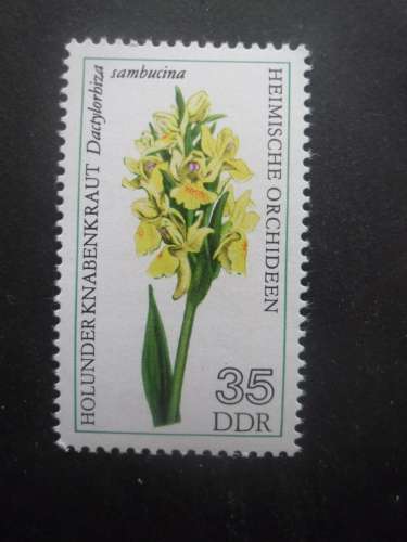 DDR N°1814 orchidée neuf **