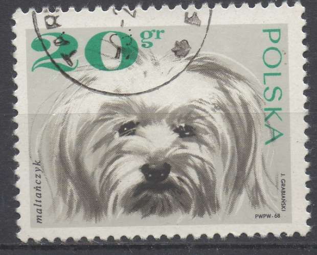 Pologne 1961 - Y & T : 1748 - Chien