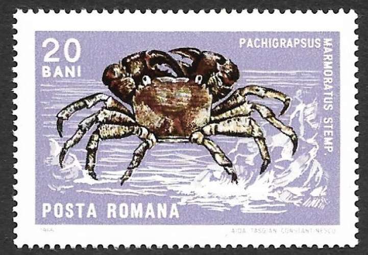 Roumanie 1966 Y&T 2242 neuf sans charnière - Pachigrapsus marmoratus stemp (scan dos)