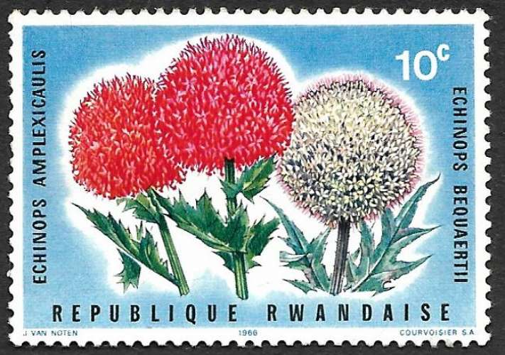 Rwanda 1966 Y&T 148 neuf sans charnière - Echinops amplexicaulis (scan dos) 