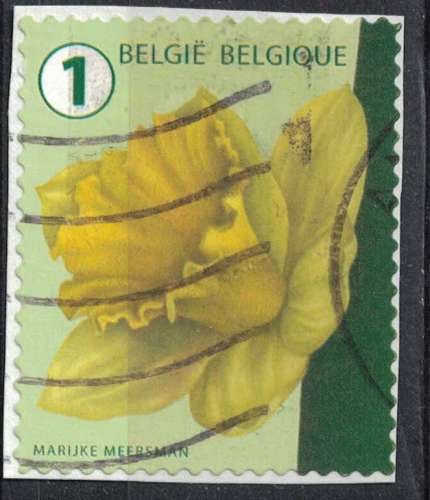 Belgique 2016 Oblitéré Used Flower Fleur Daffodil Jonquille Narcissus SU