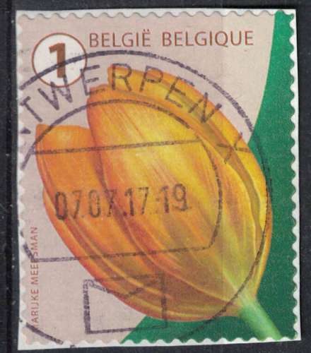 Belgique 2016 Oblitéré Used Flower Fleur Tulip Tulipe SU