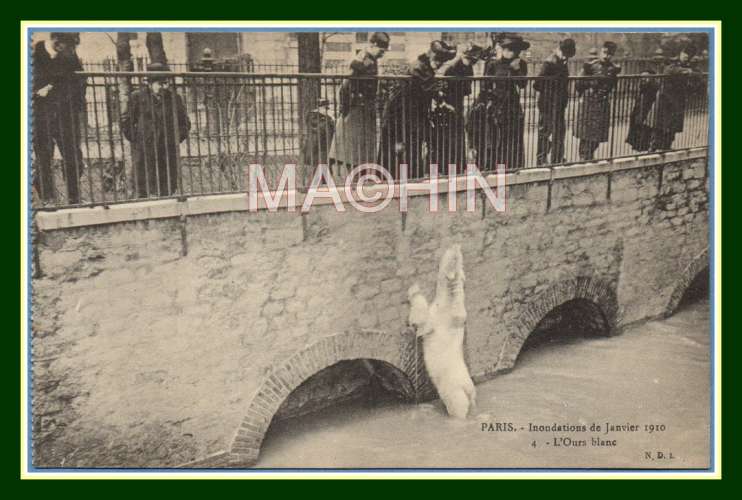 CPA Inondations 1910 Ours Blanc Paris TB non écrite