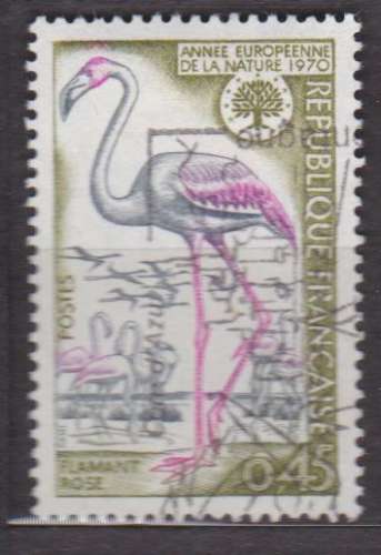 France 1970 YT 1634 Obl Flamant rose Année européenne de la Nature