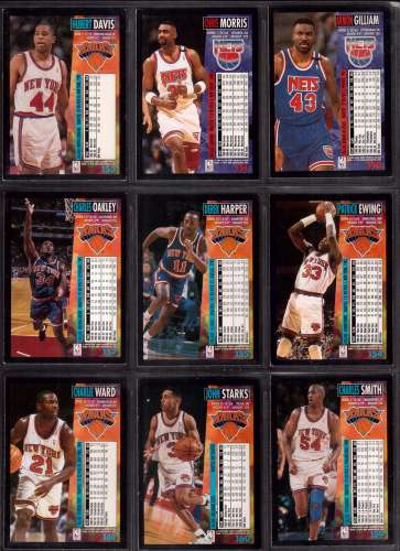 12 protège-cartes pour cartes NBA ou autres dans classeur NBA Charlotte Hornets