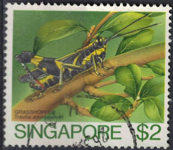 Singapour 1985 Oblitéré Used Insecte Traulia azureipennis Grasshopper Sauterelle