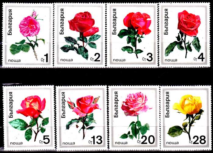 Bulgarie 1778 / 85 Roses diverses