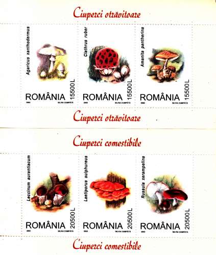 Roumanie 4834 / 39 ( Les 2 feuillets ) Champignons