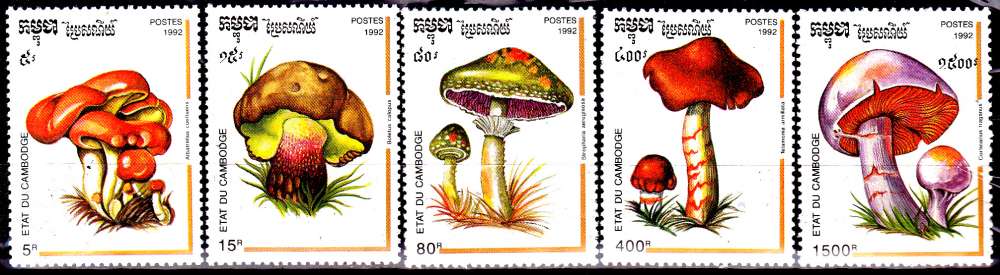 Cambodge 1091 / 95 Champignons