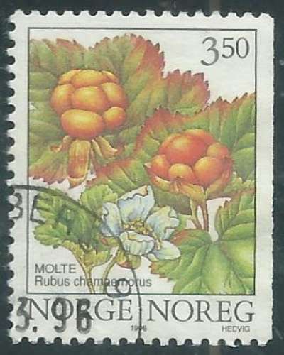 Norvège - Y&T 1162 (o) - Baies sauvages -