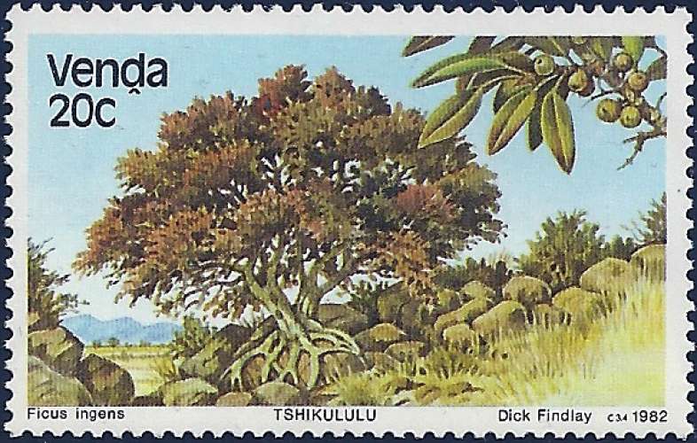 Afrique du Sud - Venda - 1982 - Y&T 64** - MNH 