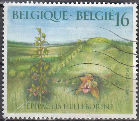 Belgique 1994 COB 2575 O Cote (2016) 1.25 Euro Orchidée Epipactis Helléborine