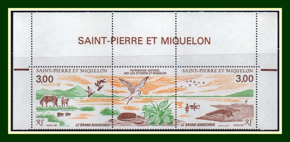 Saint Pierre et Miquelon N° 485A ** MNH HdF (cote X) Canard chevaux