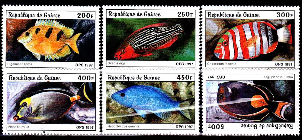 Guinée 1123 / 28 Poissons