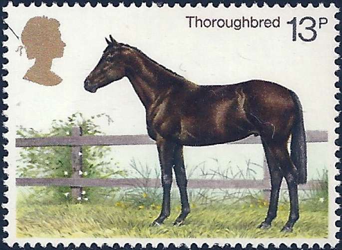 Royaume unis - 1978 - Y&T 871 ** - MNH 