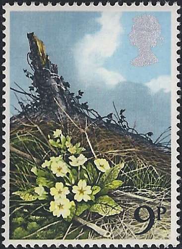 Royaume unis - 1979 - Y&T 884** - MNH 