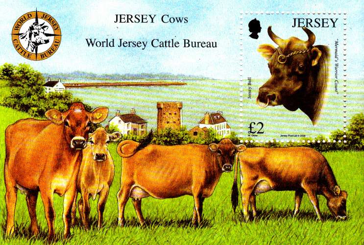 Jersey 2008 Vaches