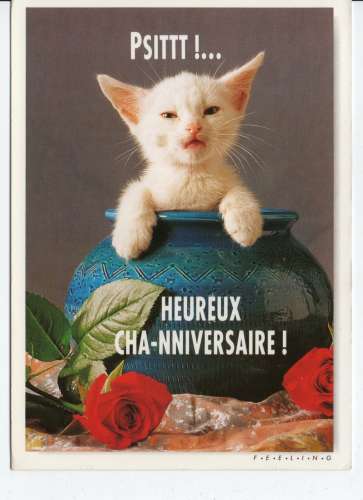 cpm animaux chat