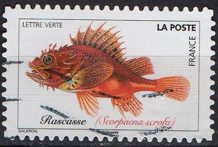 Faune aquatique - Poissons de mer - Rascasse rouge