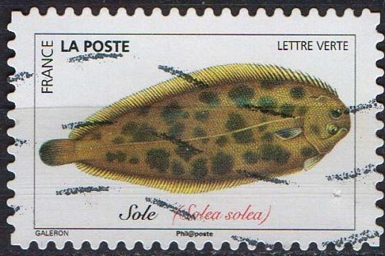 Faune aquatique - Poissons de mer - Sole commune