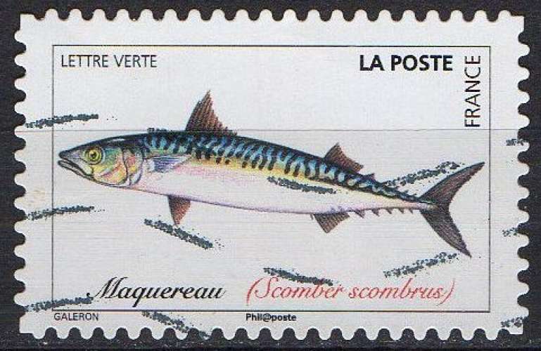 Faune aquatique - Poissons de mer - Maquereau