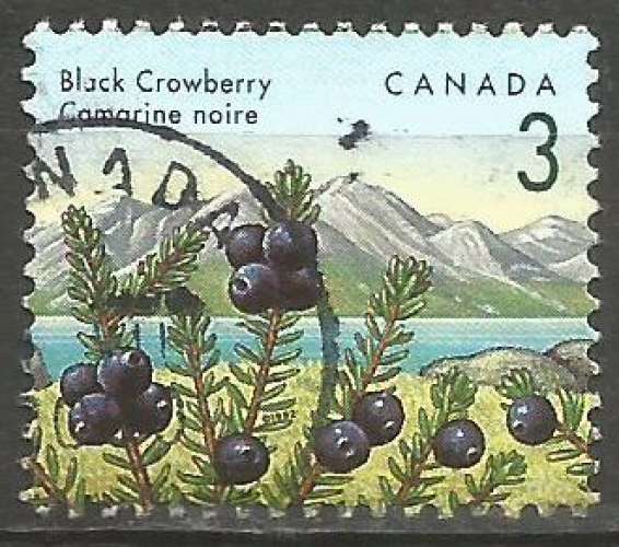 Canada - 1992 - Y&T n° 1264 - Obli. - Camarine noire - Baies sauvages - Série courante