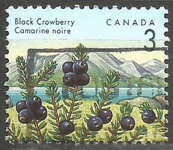 Canada - 1992 - Y&T n° 1264 - Obli. - Camarine noire - Baies sauvages - Série courante