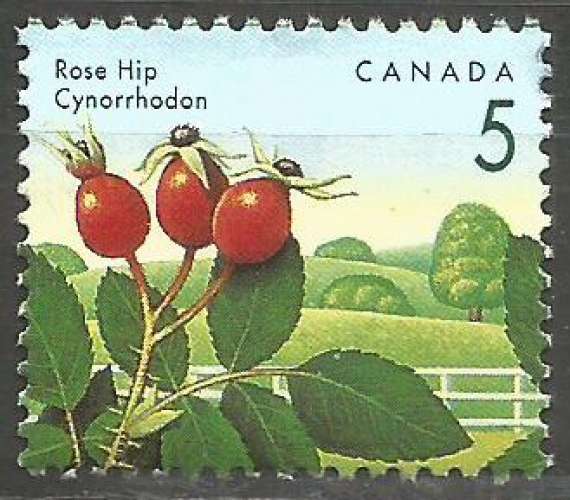 Canada - 1992 - Y&T n° 1265 - Obli. - Cynorrhodon - Baies sauvages - Série courante