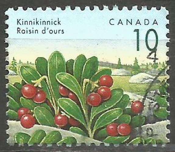 Canada - 1992 - Y&T n° 1267 - Obli. - Raisin d'ours - Baies sauvages - Série courante