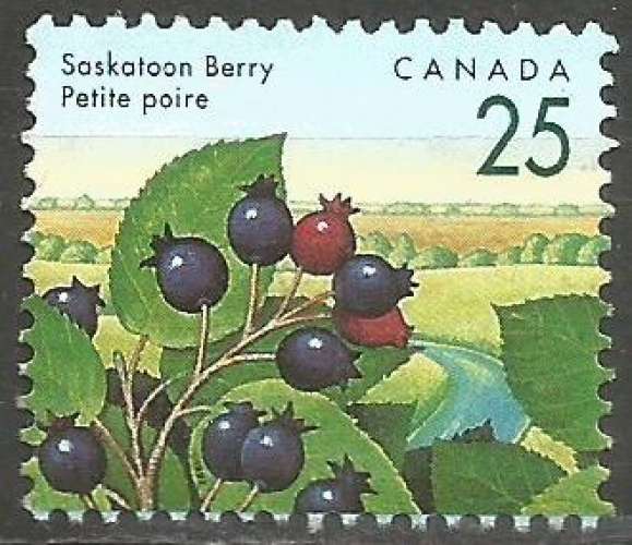 Canada - 1992 - Y&T n° 1268 - Obli. - Petite poire - Baies sauvages - Série courante