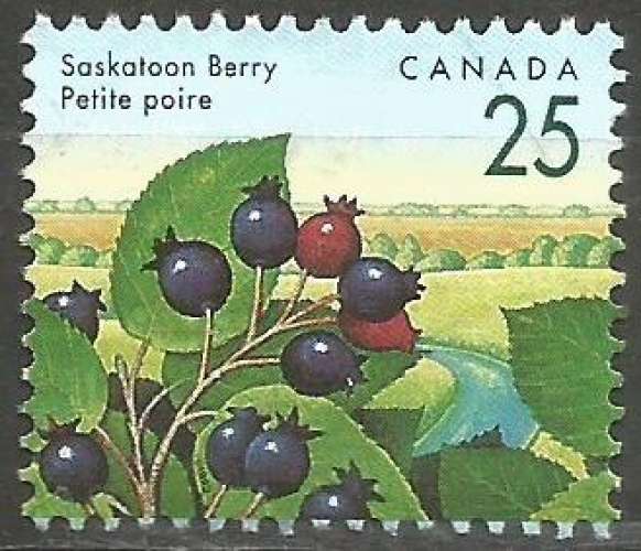 Canada - 1992 - Y&T n° 1268 - Obli. - Petite poire - Baies sauvages - Série courante