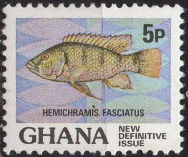 K923 - Y&T n° 816 - neuf sans charnière -  Hemichromis fasciatus  - 1984 - Ghana