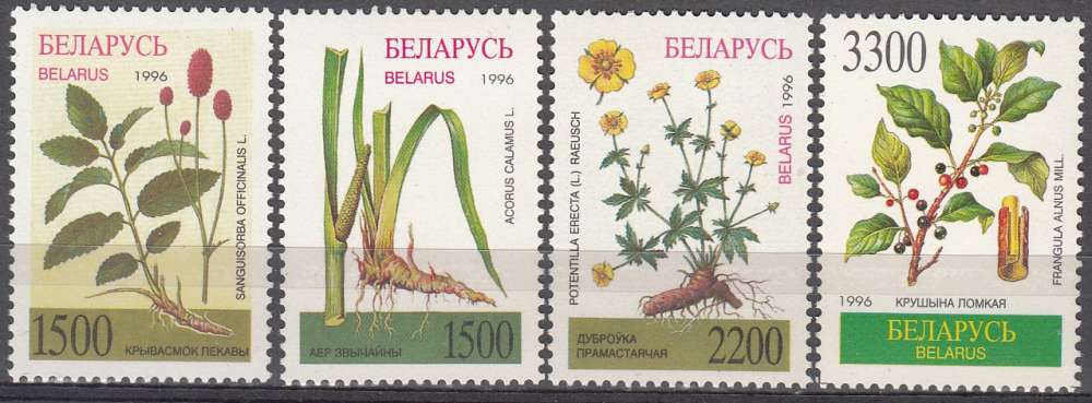 Belarus 1996 Michel 158 - 161 Neuf ** Cote (2008) 1.50 Euro Plantes médicinales