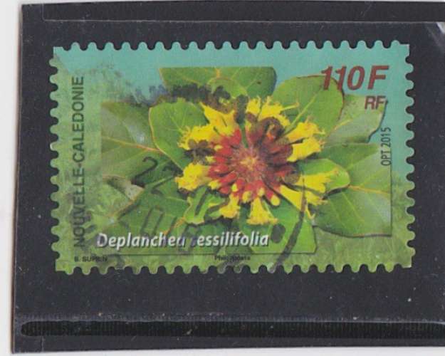 NOUVELLE CALEDONIE n ° 1257 oblitéré °