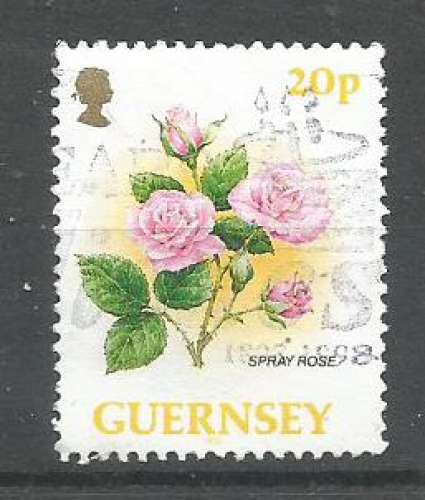 Guernesey 1992 - YT n° 570 - Roses
