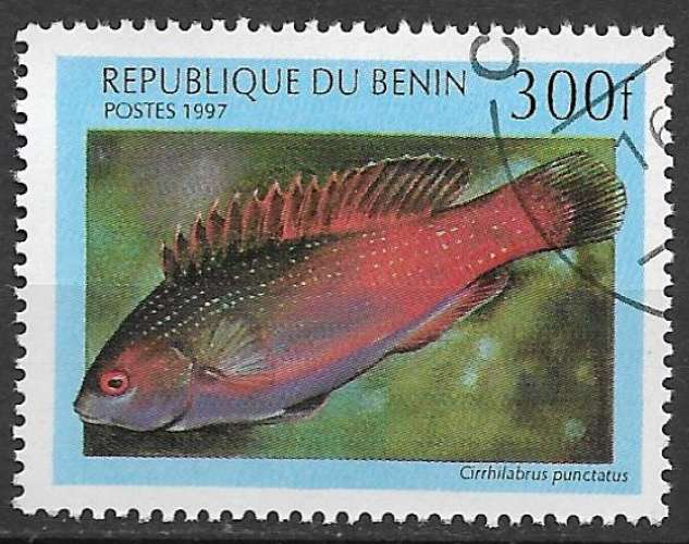 Benin 1997 Y&T 778 oblitéré - Poissons