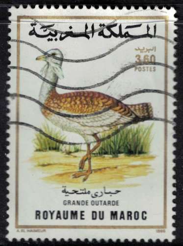 Maroc 1988 Oblitéré Used Oiseau Otis Tarda Grande Outarde SU