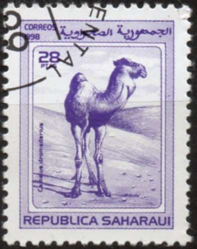 N733 - Y&T n° ??? - oblitéré - Chameau - 1998 - Sahara Occidental