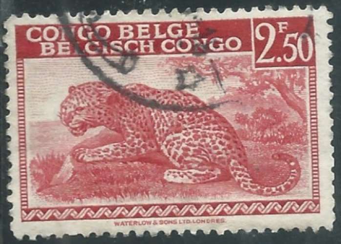Congo Belge - Y&T 0241 (o) - Léopard -