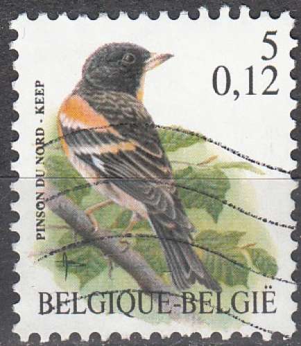 Belgique 2000 Michel 2972 O Cote (2016) 0.20 Euro Pinson du Nord  