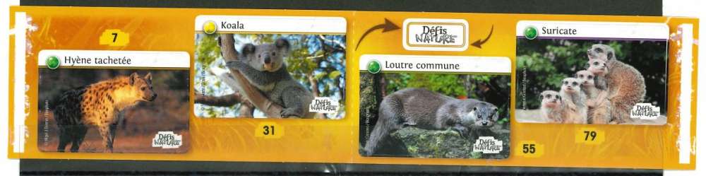 AUCHAN Défis Nature Les Autocollants 7 Hyène tachetée 31 Koala 55 Loutre commune 79 Suricate