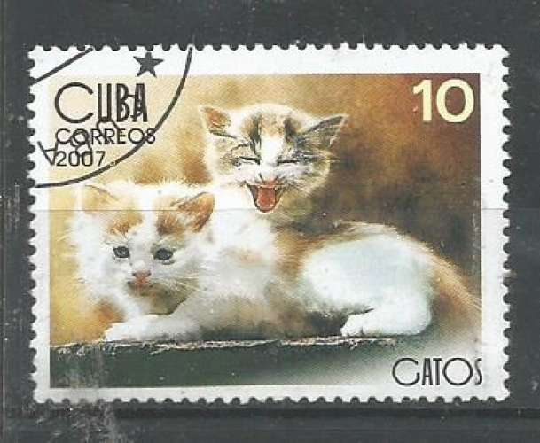 Cuba - Chat