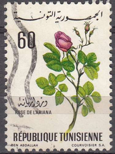 Tunisie 1968 Michel 701 O Cote (2005) 0.80 Euro La rose de l'ariana Cachet rond
