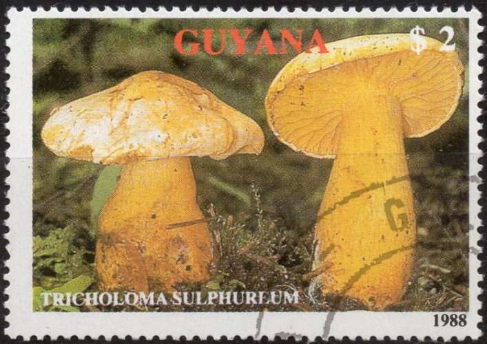 E782 - Y&T n° ??? - oblitéré - Champignon - Tricholoma sulphureum - 1989 - Guyana