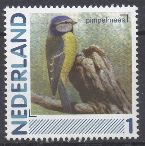 Pays-Bas 2012  - Oiseau : mésange bleue