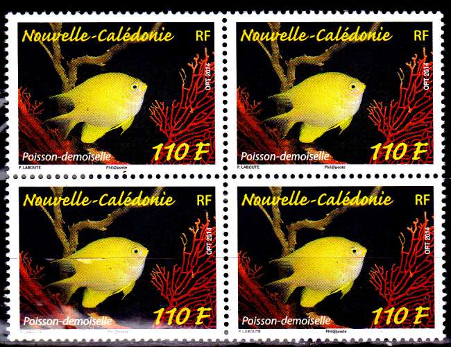 Nouvelle Calédonie 2014 Poisson demoiselle ( Bloc de 4