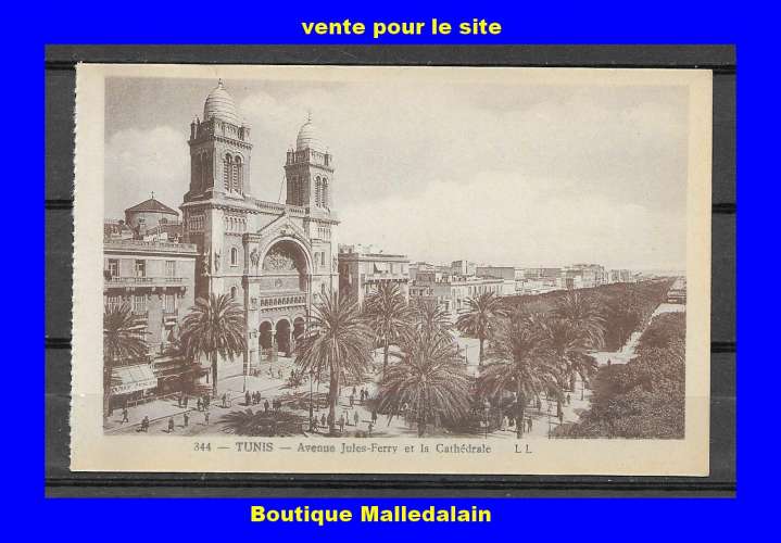 LL 344 - TUNIS - Avenue Jules Ferry et la Cathédrale